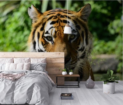 Fototapeta Oczy Tygrysa