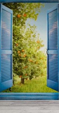 Fototapeta z otwartym oknem o poranku