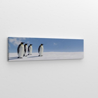 pingwiny-w-panoramicznym-ujeciu-arktyki