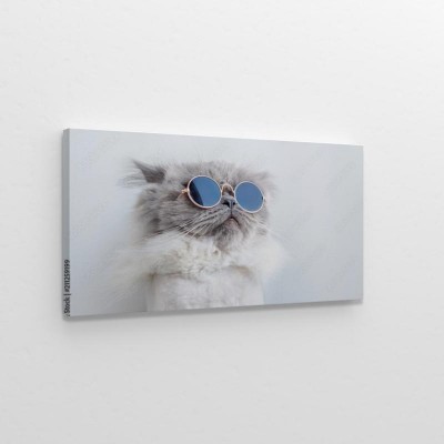 zabawny-portret-kota-w-okularach-przeciwslonecznych