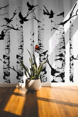 Fototapeta Brzoza z czarnymi ptakami