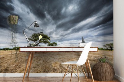 Fototapeta zgodnie z kierunkiem wiatru