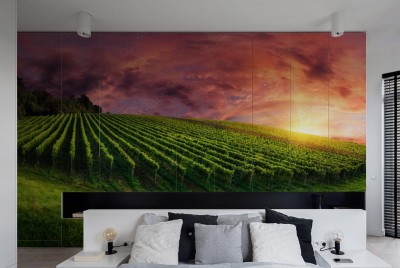 Naklejka na szafę Panorama winnicy z wspaniałym zachodem słońca
