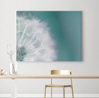 Obraz na płótnie Dandelion dandelion makro- tło