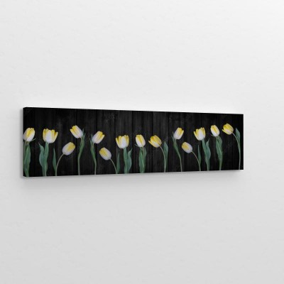 panorama-przedstawiajaca-zolte-tulipany-na-czarnym-tle