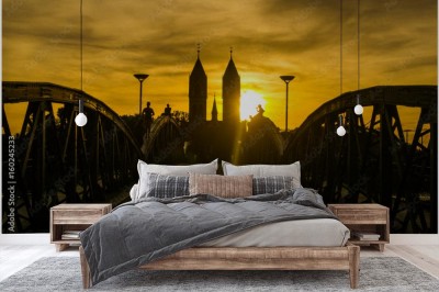 Fototapeta Sylwetka Freiburg Wiwilli Bridge