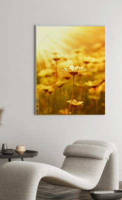Obraz na płótnie Żółte kwiaty w słońcu