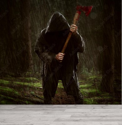 Fototapeta Mroczny strażnik lasu