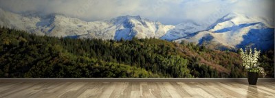 Fototapeta Panorama Gór w stanie Utah