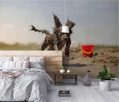 Fototapeta Pies biegnący na plaży