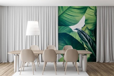 Fototapeta Tropikalne zielone liście