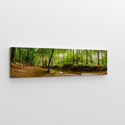 idylliczna-lesna-panorama-z-zielonymi-drzewami-i-jasnym-swiatlem-slonecznym-w-tle