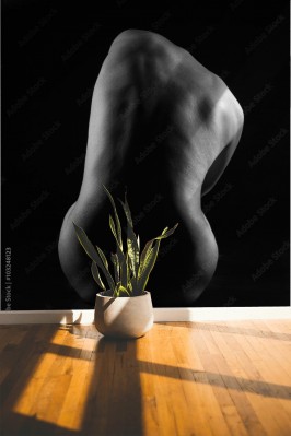 Fototapeta Artystyczne akty erotyczne