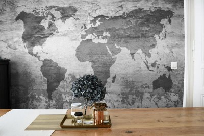 Fototapeta Mapa świata w szarych popielatych barwach