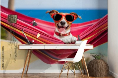 Fototapeta pies na hamaku