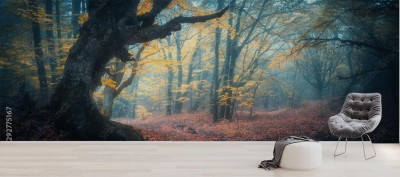 Fototapeta Piękny mistyczny las w błękitnej mgle