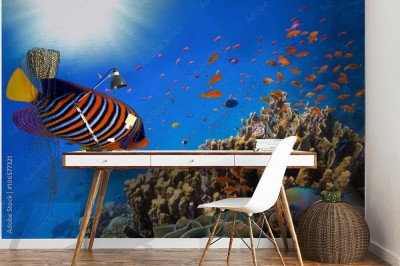 Fototapeta Rafa koralowa i tropikalna ryba w oceanie