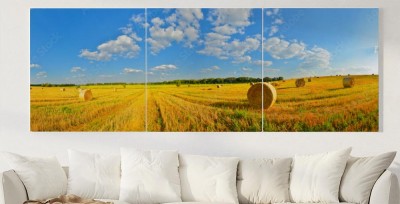 Obraz na płótnie Letnia kraina