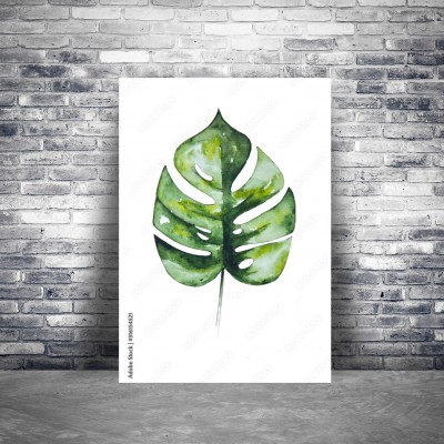 zielony-lisc-monstera-na-bialym