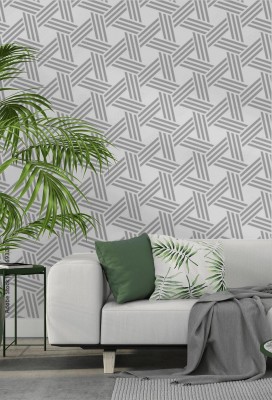 Fototapeta Abstrakcjonistyczny geometryczny wzór z liniami  Bez szwu tła  Biało-szary ornament  Nowoczesny wzór graficzny