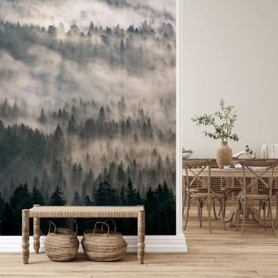 Fototapeta Mgła w lesie