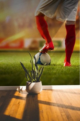 Fototapeta Piłkarz w pozycji piłkarskiej