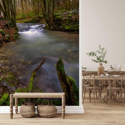 Fototapeta Woda w lesie