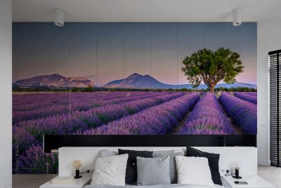 Naklejka na szafę Pole lawendy i drzewo