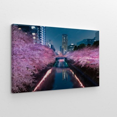 meguro-river-night-cherry-blossom