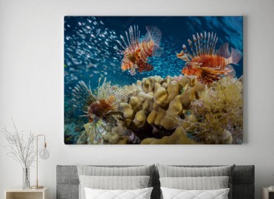 Obraz na płótnie Morze