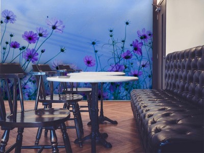 Fototapeta Kwiatki polne na niebieskim tle