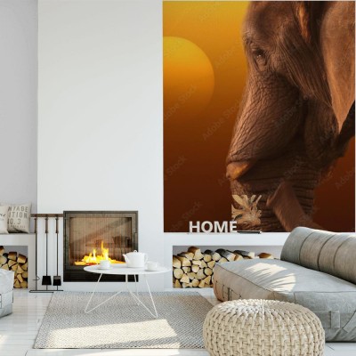 Fototapeta Wizerunek słonia przy wschodzie słońca