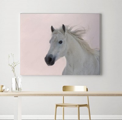 Obraz na płótnie Biały koń arabski biegnie na tle zachodu słońca