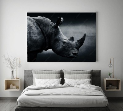Obrazy do salonu Monochromatyczny portret nosorożca