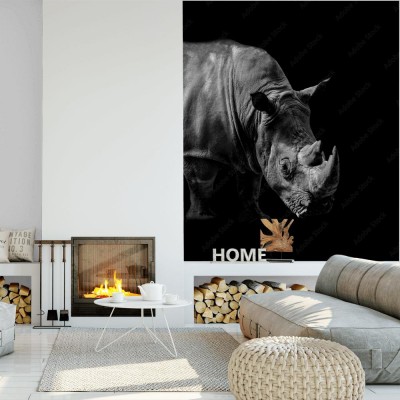 Fototapeta Dzikie zwierzęta zatopione w czarnym tle