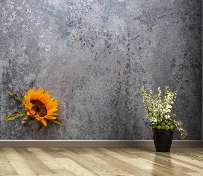 Fototapeta Kamienna naturalna ściana