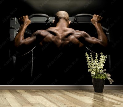 Fototapeta Podciągania i podciągnięcia