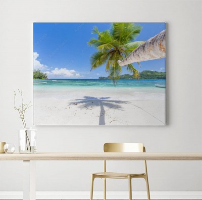 Obraz na płótnie Palma kokosowa na plaży Seszeli w Mahé
