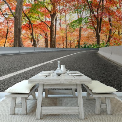 Fototapeta asfaltowa droga i kolorowy jesienny las