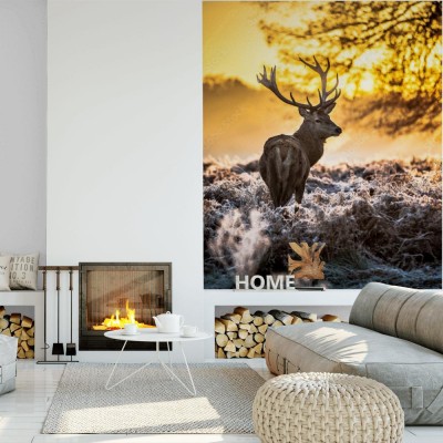 Fototapeta Jeleń w blasku zachodzącego słońca