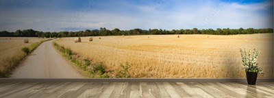 Fototapeta Panorama pola słomy