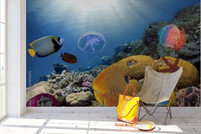 Fototapeta Podwodny krajobraz rafy z rybami