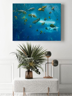 Obraz na płótnie Kolorowe rybki
