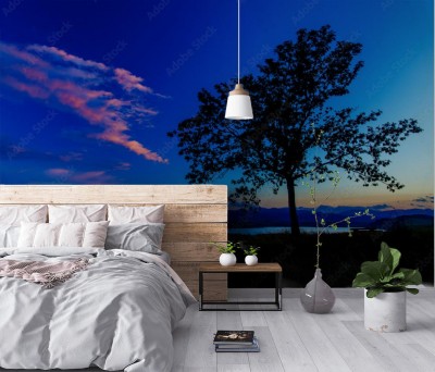 Fototapeta Jezioro i drzewo o zmroku