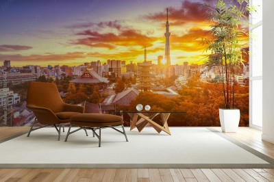 Fototapeta Panorama Tokio z świątynią Senso-ji