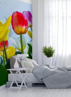 Fototapeta Tulipany w ujęciu makro