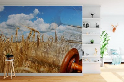 Fototapeta Symbole żydowskiego święta Szawuot Tora i pola pszenicy