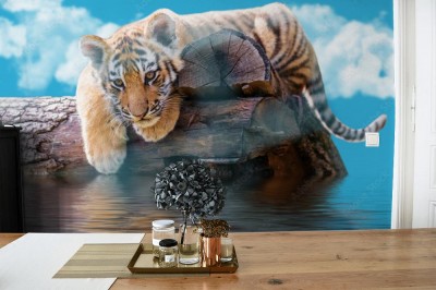 Fototapeta Tygrysek nad wodą