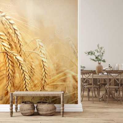 Fototapeta Zboże pod koniec Lata