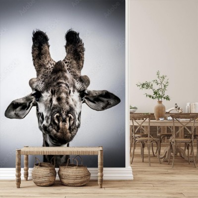 Fototapeta Zwierzęcy portret żyrafy